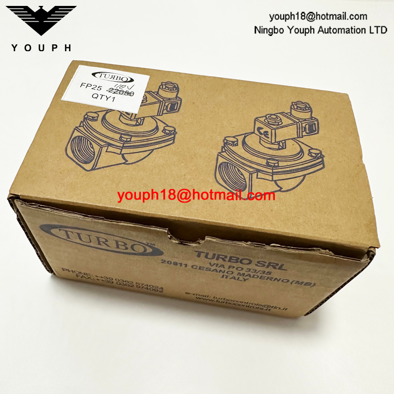 Italy Turbo FP25 TF025NPMSST G1 F series DN25 Threaded Pulse VALVE