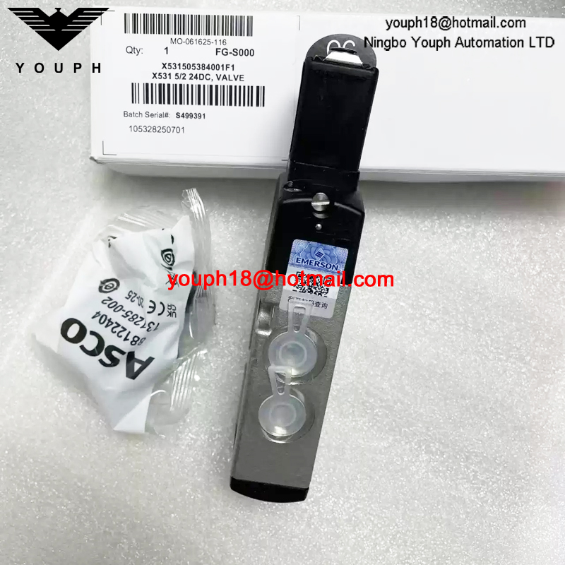 X531505384001F1 ASCO G1/4 24DC Electromagnetic Valve