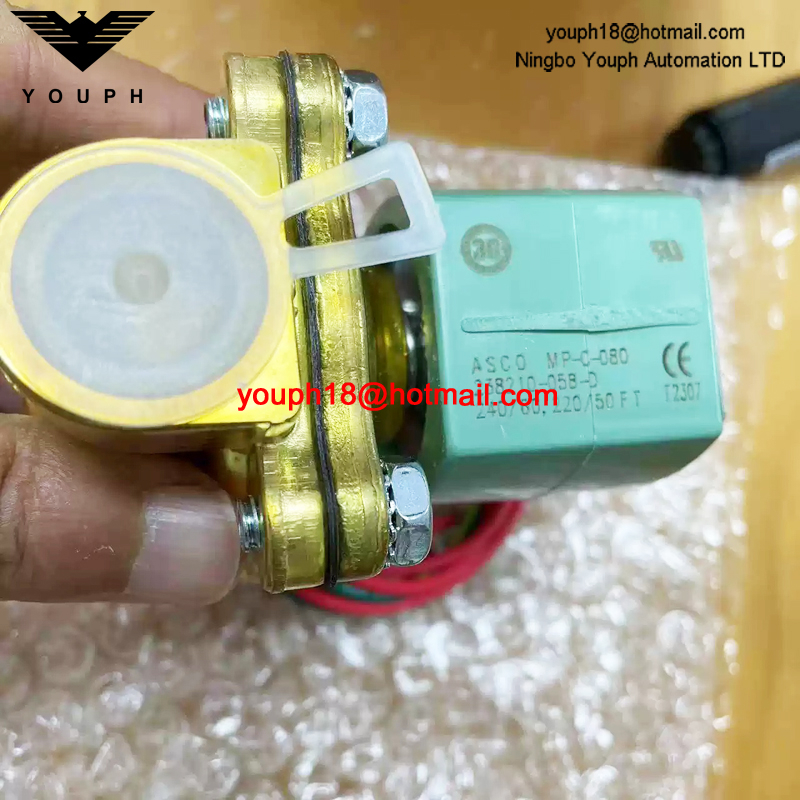 8210G002 220/50 ASCO 1/2NPT Electromagnetic Valve