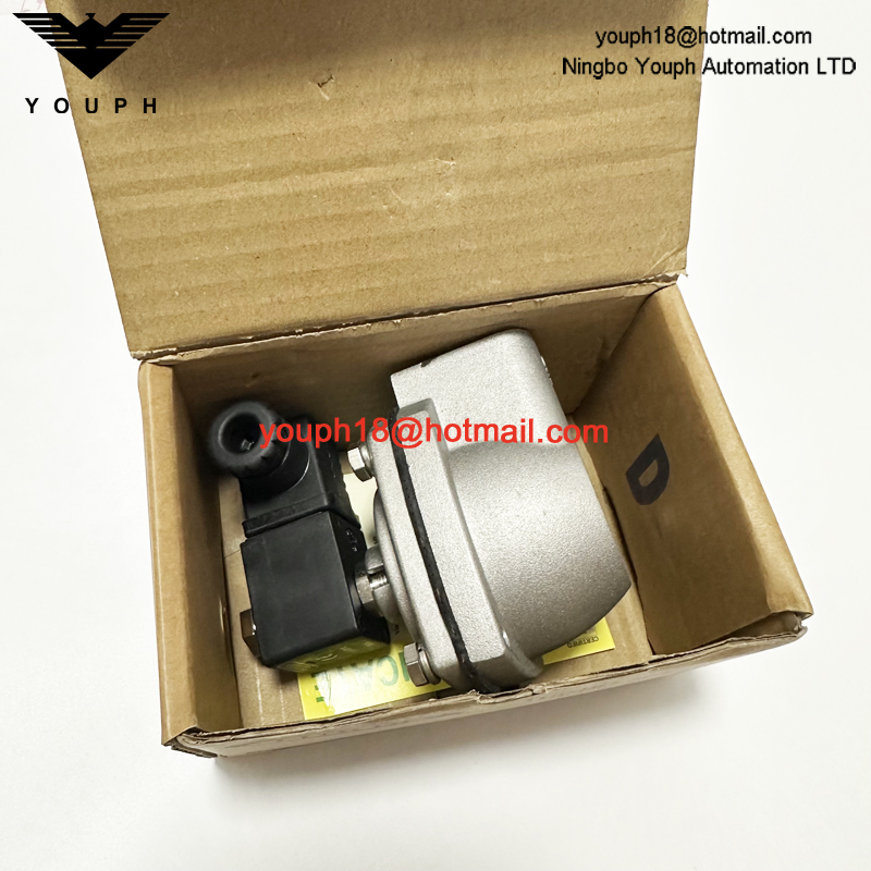 Italy Turbo FP25 TF025NPMSST G1 F series DN25 Threaded Pulse VALVE