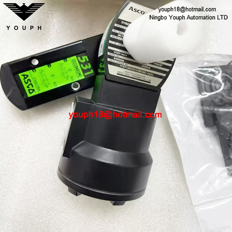 VCEFCMG531H301MO 24DC ASCO G1/4 Ex-Proof Solenoid Valve