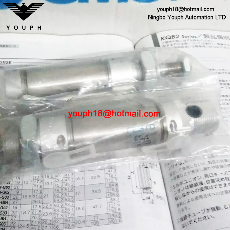 DSNU-25-25-PPV-A 33975 Festo Mini Air Cylinder