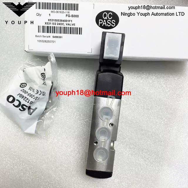 X531505384001F1 ASCO G1/4 24DC Electromagnetic Valve