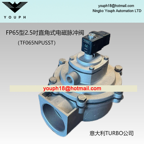 Italy Turbo FP65 TF065NPUSST 2.5" Diaphragm Threaded Pulse Jet VALVE