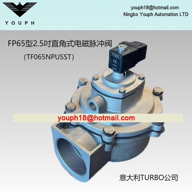 Italy Turbo FP65 TF065NPUSST 2.5" Diaphragm Threaded Pulse Jet VALVE