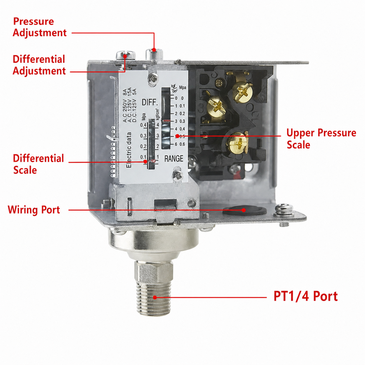 PK503 Structural Description