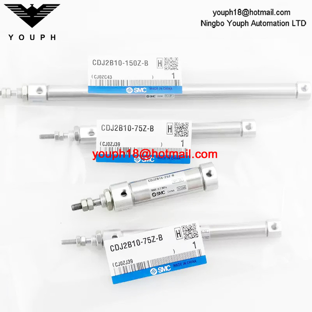 CDJ2B6-10-16-15-30-45-60-75-100-125ARZB SMC Stainless Steel Pneumatic Cylinder
